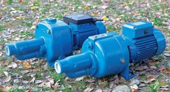 Mini Electric Water Pump Vortex Stainless Steel Jet Pump High Pressure